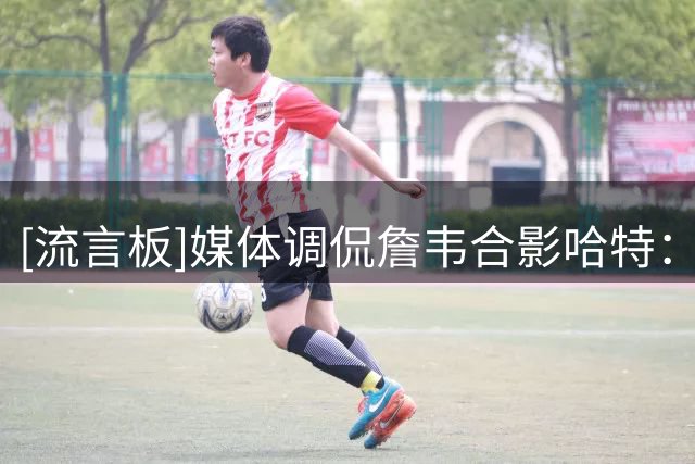 [流言板]媒体调侃詹韦合影哈特：像是父亲和继父和解后去看儿子打球